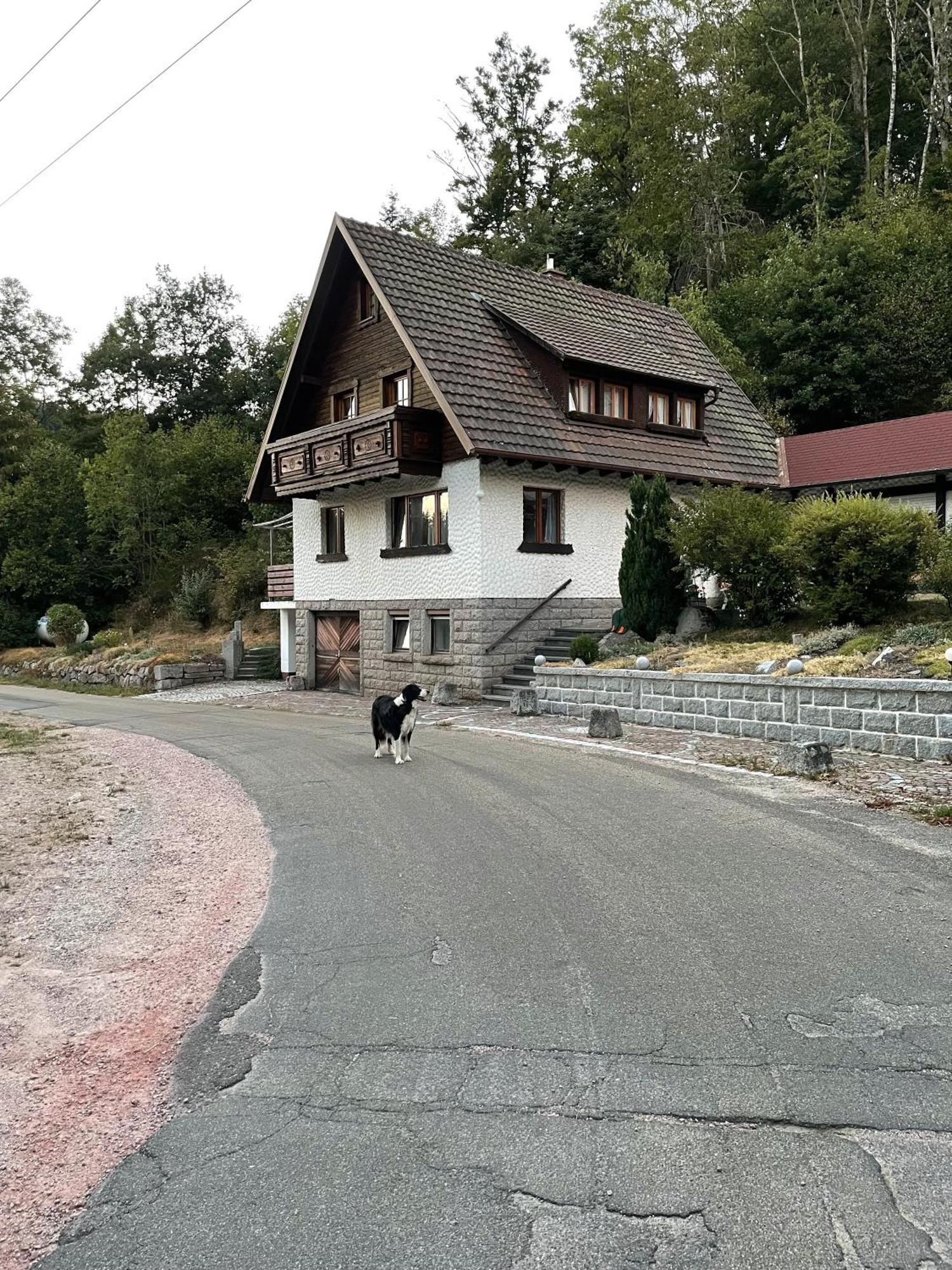 Idyllisches Ferienhaus Im Villa Am Bach Bagian luar foto